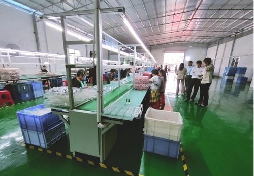 砥礪奮進啟新程，鄉村振興謀新篇——浛洸鎮張陂村玩具加工廠隆重開業